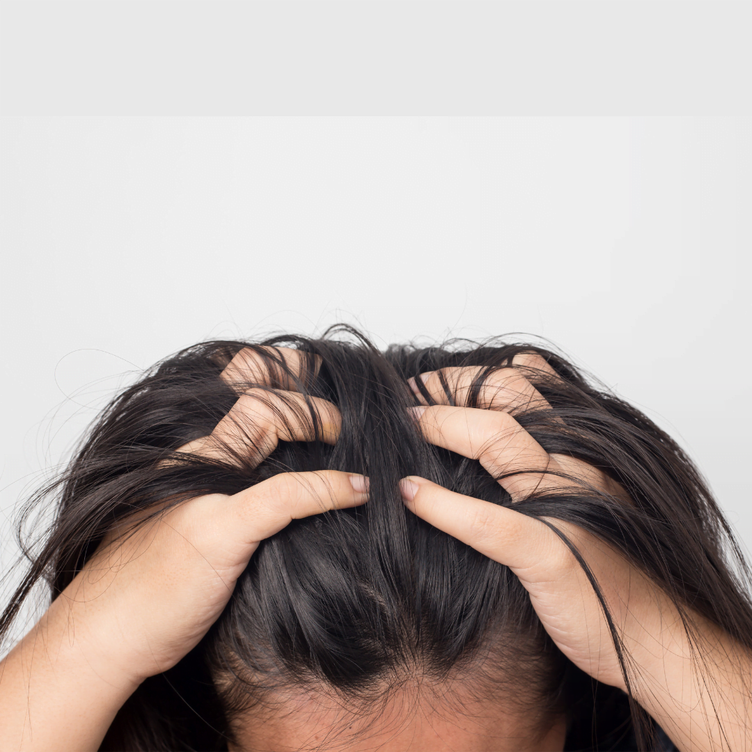 Natural Dry Shampoo Perfect Solution for oily Scalp & Dry Ends!